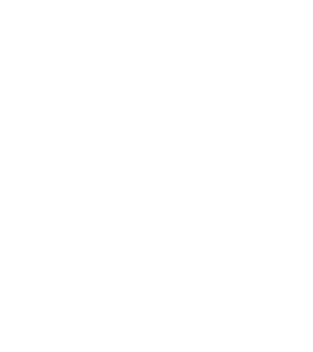 BlackNodes Logo